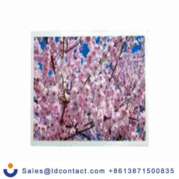 RS PRO 700-1675  红色 面板安装指示器, 24 V dc 焊接片端接, 平齐边框, 银色边框, IP40