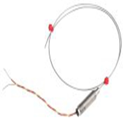 RS PRO,847-1135,K型矿物绝缘热电偶, 探头Φ1mm x 500mm, 可测+750°C, 线长100mm, 裸线尾线接端, 不锈钢探头