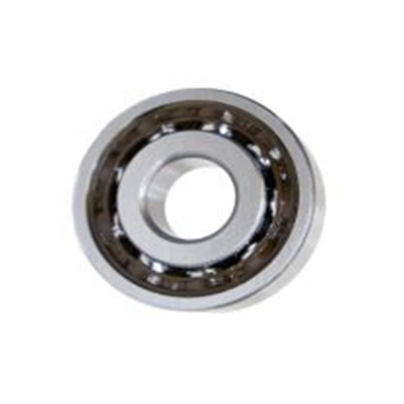 RS PRO,291-648, 45 mm内径, 58 mm外径, 7 mm宽滚道 1排 滚珠轴承