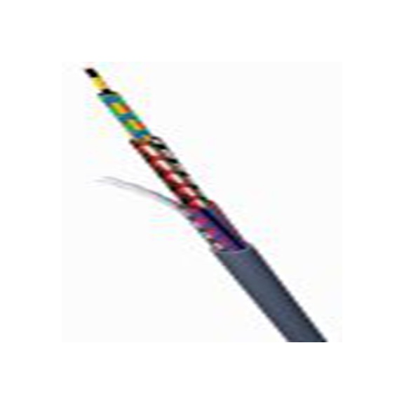RS PRO,136-8196,2芯, LiYY系列 铠装 控制电缆 0.34 mm² 22 AWG, 未屏蔽, IEC 60332-1, 阻燃性能符合 NF C 32-070/C2 级, 100 m