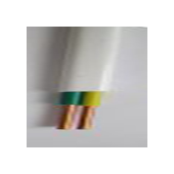 RS PRO,185-1106,RS PRO 2芯控制电缆, 2.5 mm², 黑色PVC护套
