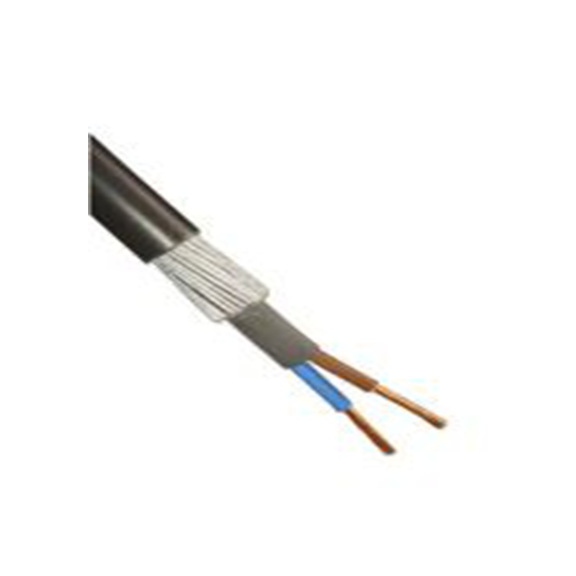 RS PRO,196-4662,2芯, 50 m长 电源电缆, 600/1000 V, 黑色 聚氯乙烯护套 90 °C