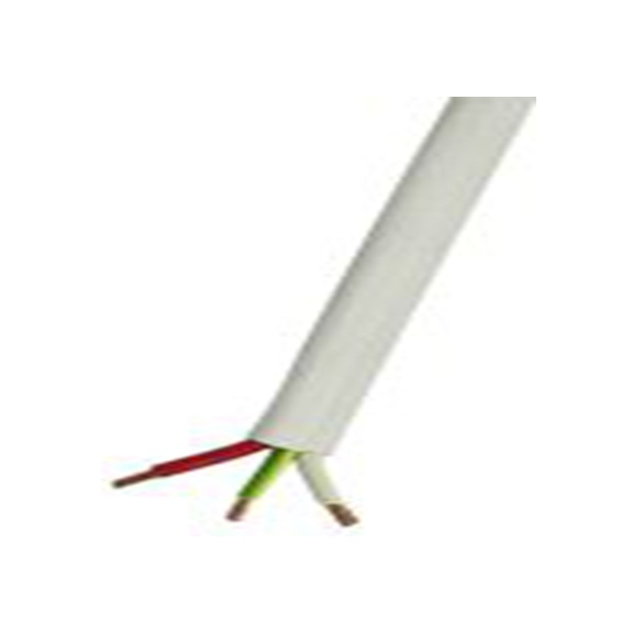 RS PRO,916-3582,RS PRO 两芯双接地电力电缆, 10 mm², 450 V，750 V, 白色PVC护套