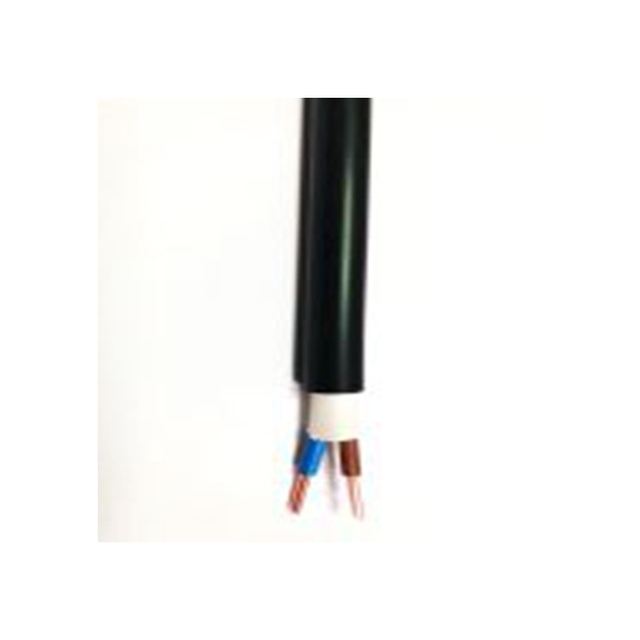 RS PRO,209-7992,RS PRO 两芯电力电缆, 4 mm², 49 A, 1 kV，600 V, 黑色PVC护套