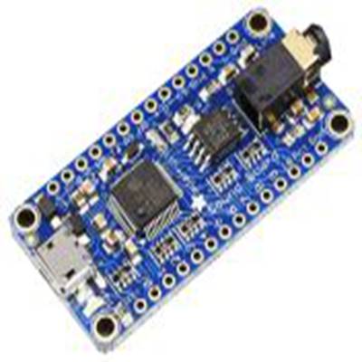 ADAFRUIT INDUSTRIES,2133,ADAFRUIT INDUSTRIES , 2133 应用板, 声音特效 接口板