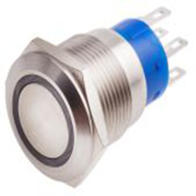 RS PRO,111-3892, 照明 按钮开关, Φ19.2 mm开孔, 面板安装, 瞬时型操作, 白色LED, 双刀双掷, IP40 12 V dc 250 V 交流