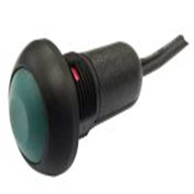 RS PRO,209-9051, 按钮开关, Φ13.6 mm开孔, 面板安装, 瞬时型操作, 红色LED, 单刀单掷, IP40 36 V dc 50 V 交流, PAS6系列